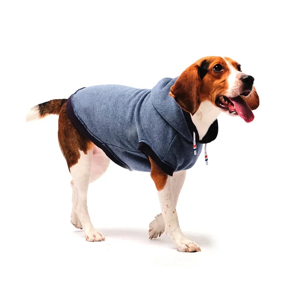 Roupa Pet Soft Lulika N 2